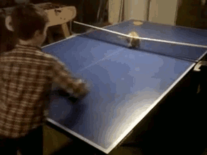 Paul-Brook-Mind-Reader-Cat-Table-Tennis