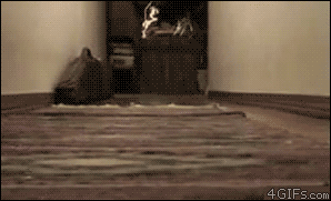 Paul-Brook-Mind-Reader-Corgi-Stampede