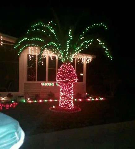 Paul-Brook-Mind-Reader-Decorated-Palm-Tree-Fail