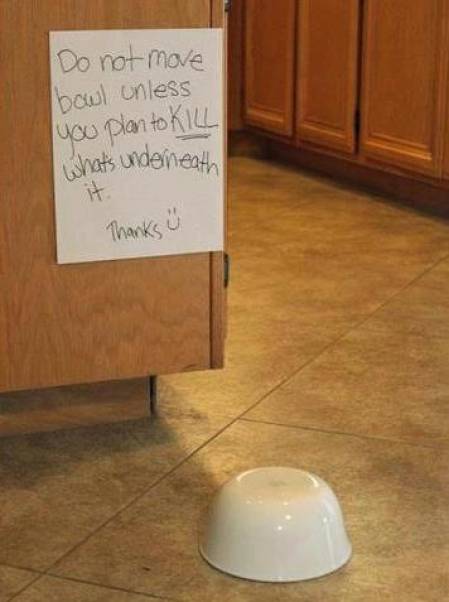 Paul-Brook-Mind-Reader-Do-Not-Move-Bowl