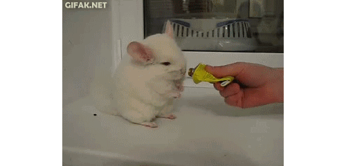 Paul-Brook-Mind-Reader-Hop-Nom-Nom