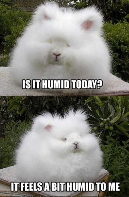 Paul-Brook-Mind-Reader-Humid-Today
