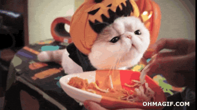 Paul-Brook-Mind-Reader-Nom-Nom-Kitty