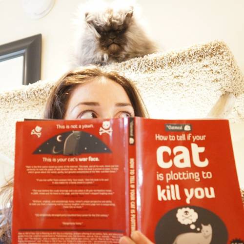 Paul-Brook-Mind-Reader-Plotting-Cat