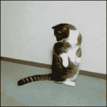 Paul-Brook-Mind-Reader-Tail-Ambush